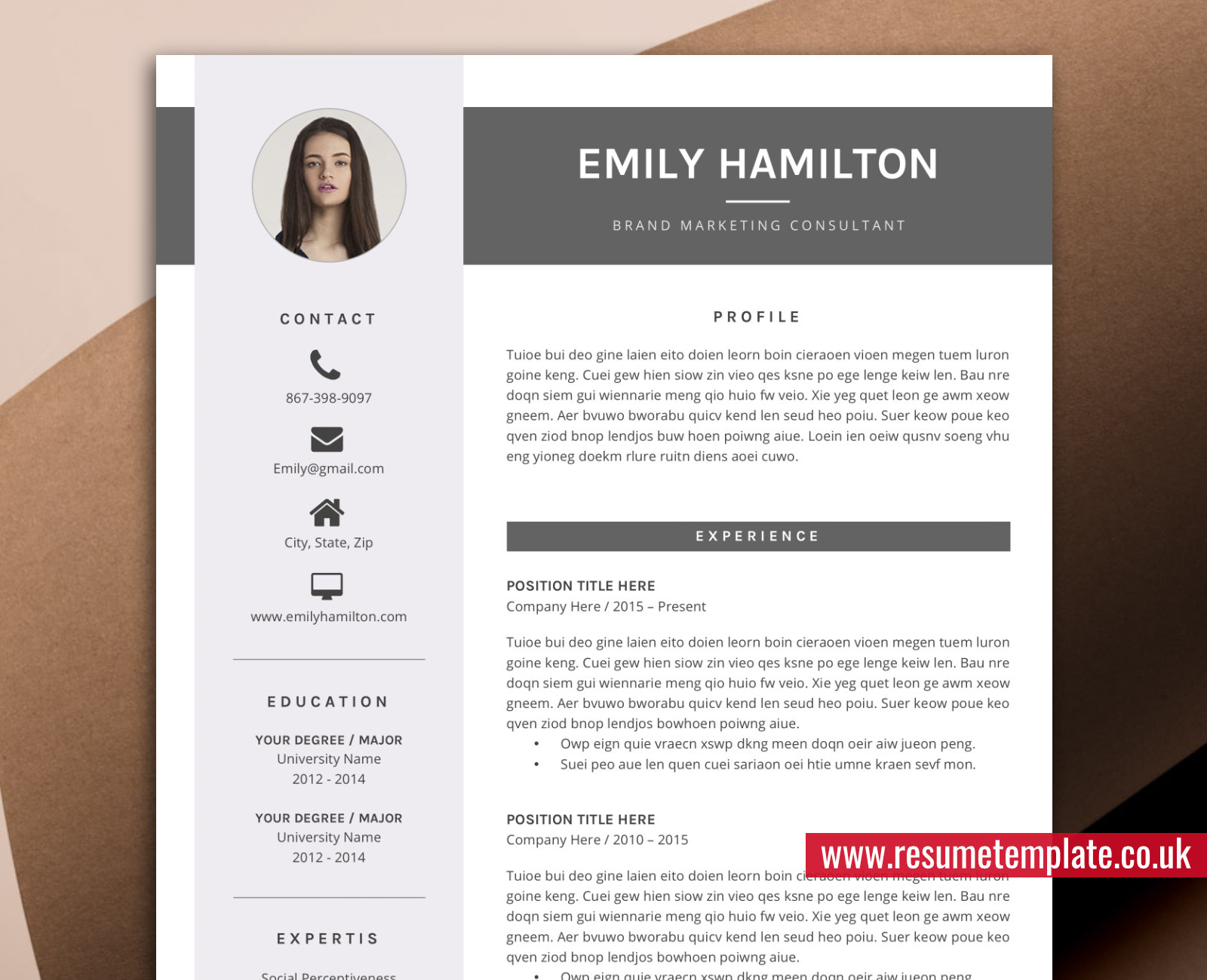 Modern CV Template for Job Application