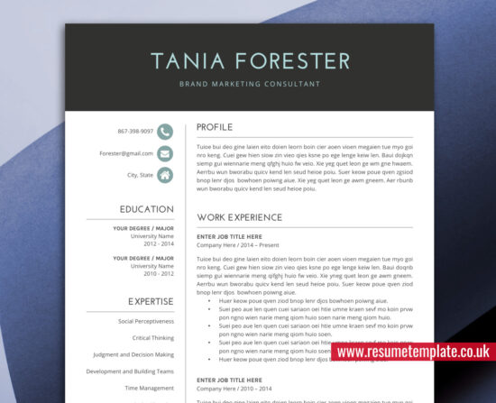 Professional Resume Template for Job Application