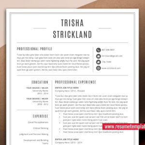 Simple Resume Template for Job Application