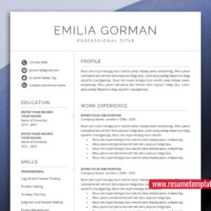 Clean Resume Template for Job Application